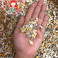 500 Grams | Palay | Dotted Dove Shell | Natural