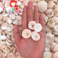 500 Grams | Puka Shell | Large | 1.5 - 2 cm