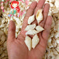 500 Grams | Sicad | Little Bear Conch | White