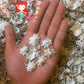 500 Grams | Star Limpet |  Cellana Stellifera
