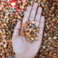 500 Grams | Strawberry Echinella | Strawberry Top Shell