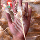 Murex Pecten | Venus Comb Murex | 3 - 5.5 Inches | Medium