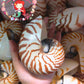 Chamber Nautilus | Natural | 4 - 5 Inches | Large