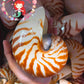 Chamber Nautilus | Natural | 4 - 5 Inches | Large