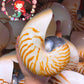 Chamber Nautilus | Natural | 5.5 - 6.5 Inches | Extra Large