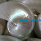 Chamber Nautilus | Pearlized | 5.5 - 7 Inches | Extra Large