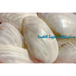 Pearl Clam Shell Iridescent | Hyriopsis Schlegelii | 7 - 8 Inches | Large