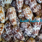 Conus Striatus | Striated Cone | 2.5 - 4 Inches