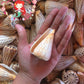 Conus Surat | Conus Suratensis | 2 - 3 Inches