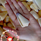 Conus Virgo | Conus Virgiconus | 2 - 2.5 Inches