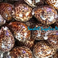 Cyprea Tiger | Cyprea Caputserpentes | 1 - 2 Inches