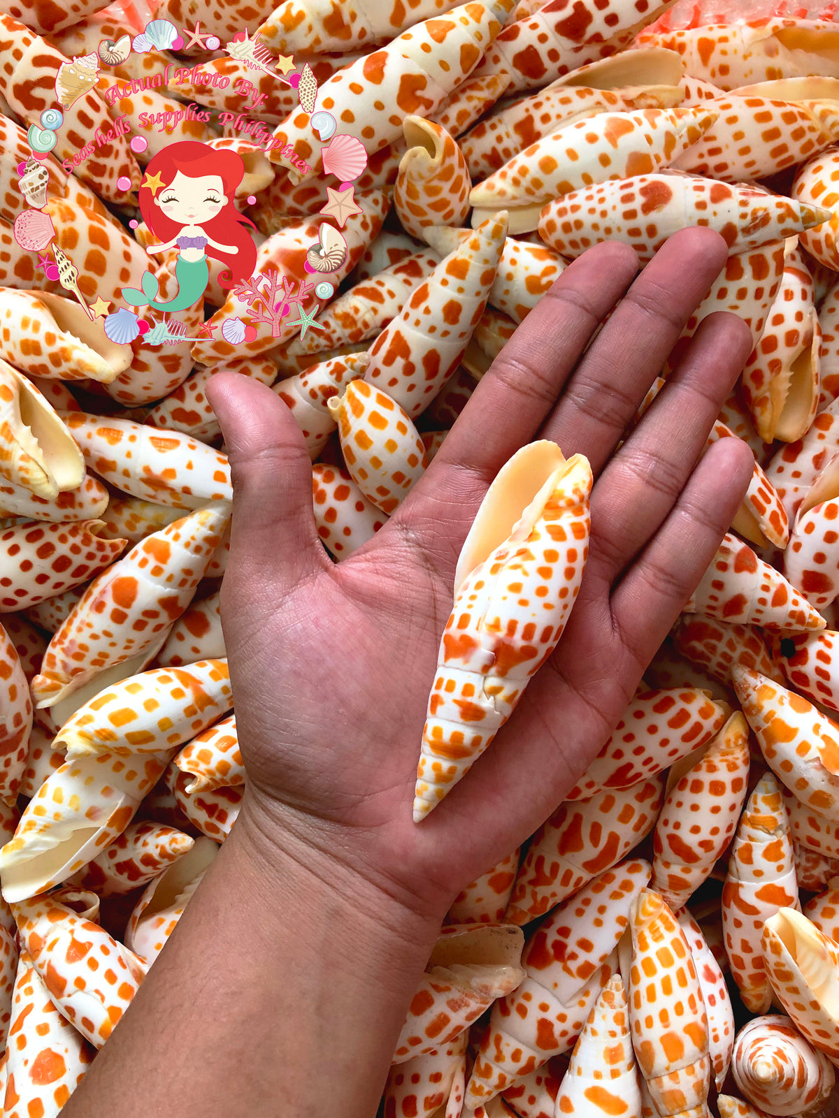 Mitra Mitra | Orange | Episcopal Miter | Mitra Mitra | 2.5 - 5 Inches