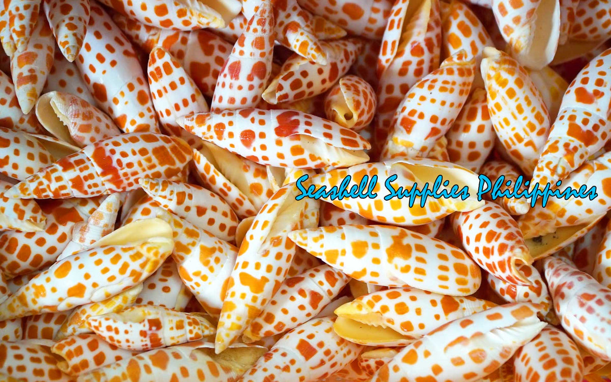 Mitra Mitra | Orange | Episcopal Miter | Mitra Mitra | 2.5 - 5 Inches