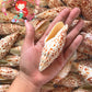 Mitra Papalis | Papal Miter | Mitra Papalis | 3 - 4 Inches