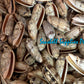 Olive Miniacea | Pacific Common Olive | 3 - 3.5 Inches