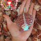 Pecten Pallium | Gloripalium Palium | 1.5 - 2 Inches | Per Piece