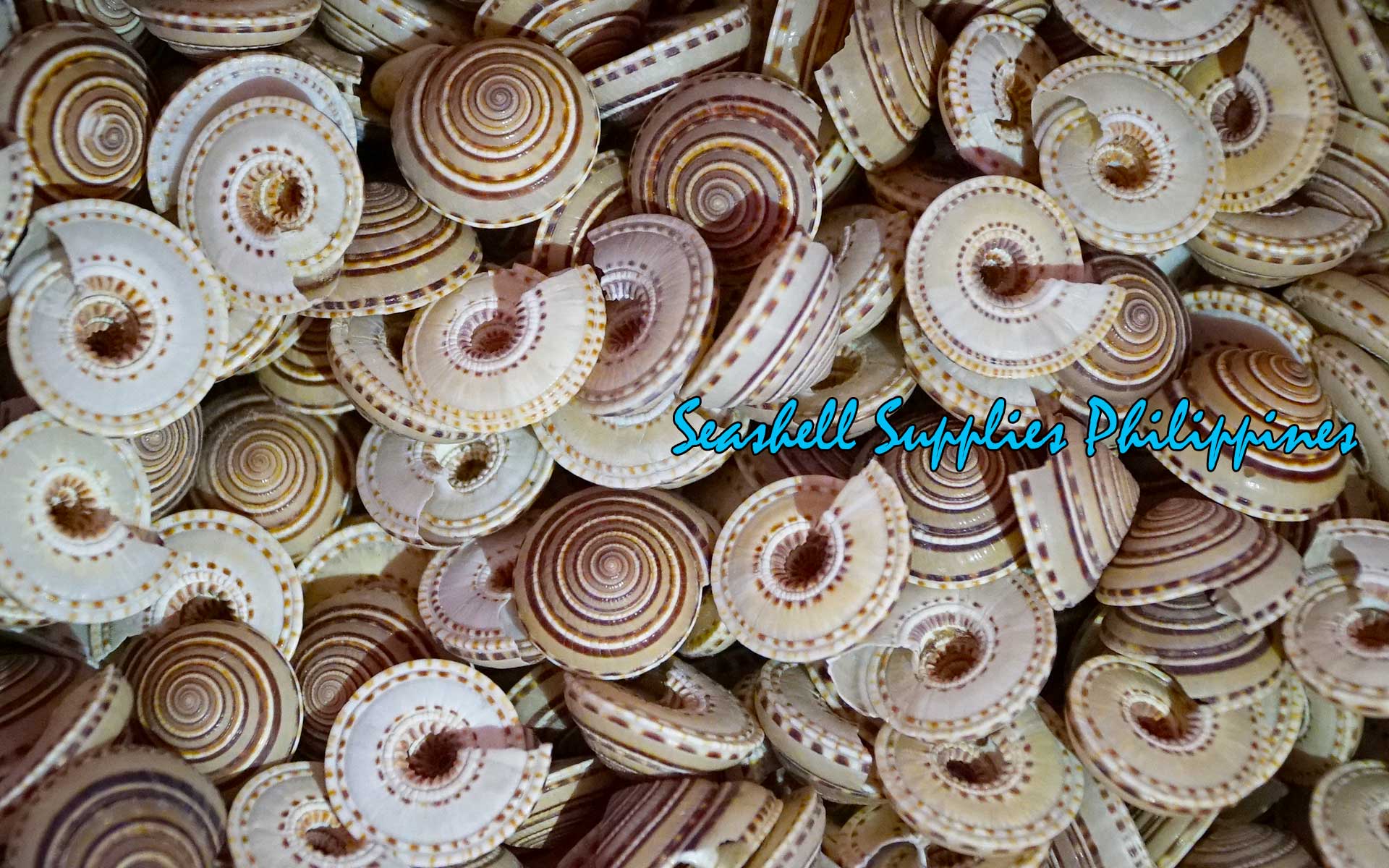 Sundial | Architectonica Perspectiva | 1 Inch