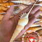 Tibia Fusus | Shinbone Tibia | Tibia Fusus | 6.5 - 7.5 Inches | Large