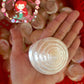 Troca Pearlized White | Shaped Top | Trochnus Conus | 2 - 4 Inches