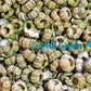 Knobby Green Sea Urchins