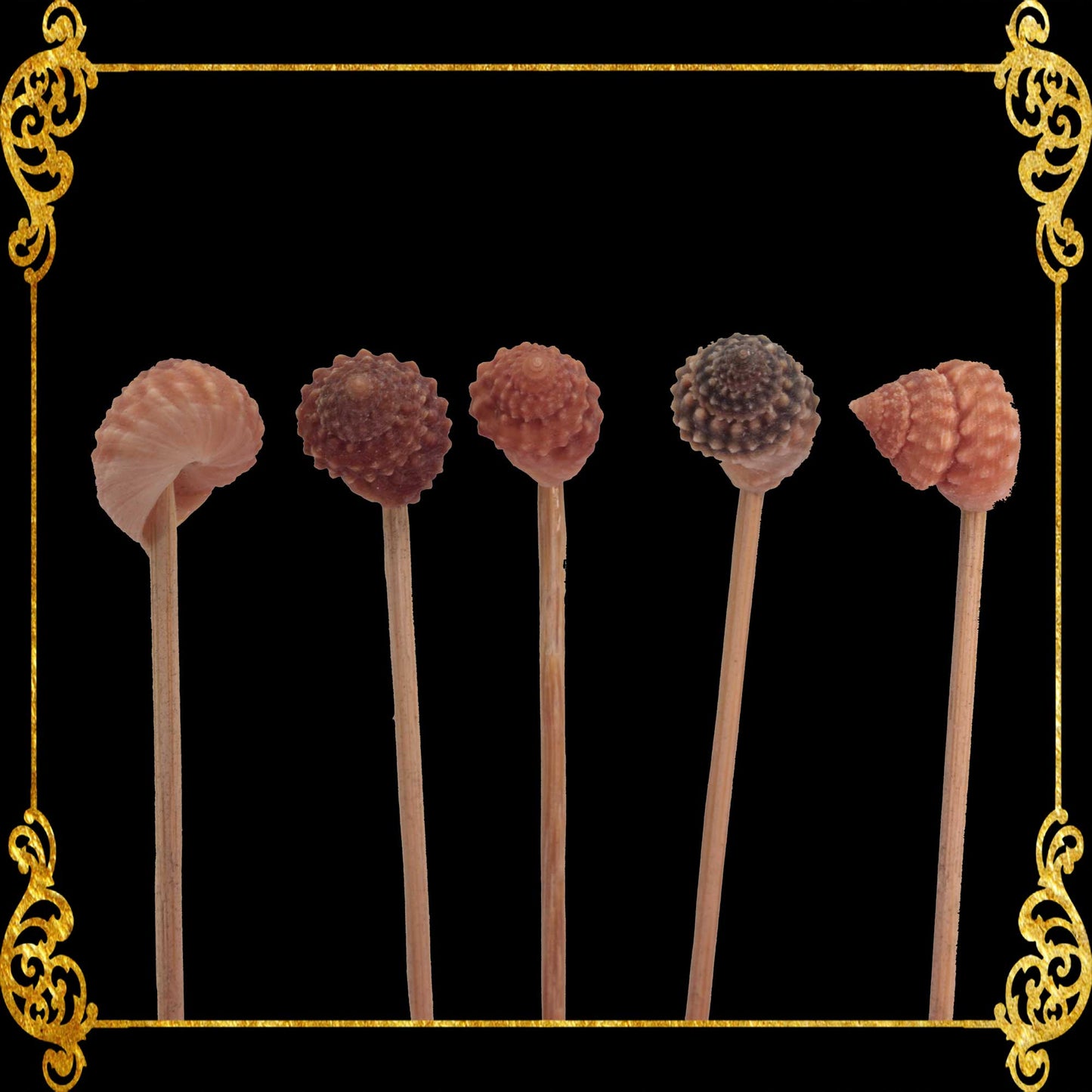 Toothpick