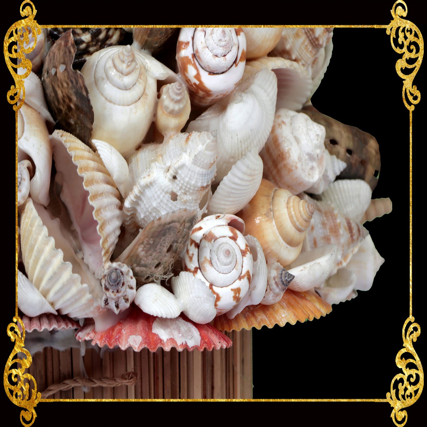 Assorted Sea Shells Christmas Tree