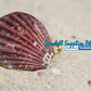 Coin Purse | Pill Box | Jewelry Holder | Made of Real Seashells