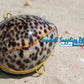 Coin Purse | Pill Box | Jewelry Holder | Made of Real Seashells