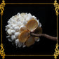 Seashell Flower