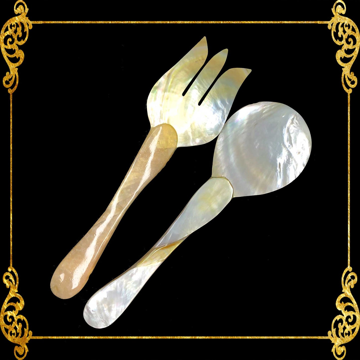 Spoon and Fork Seashells