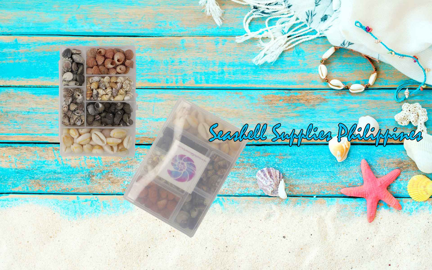 Seashell Bead Set in Rectangle Shape Plastic Organizer