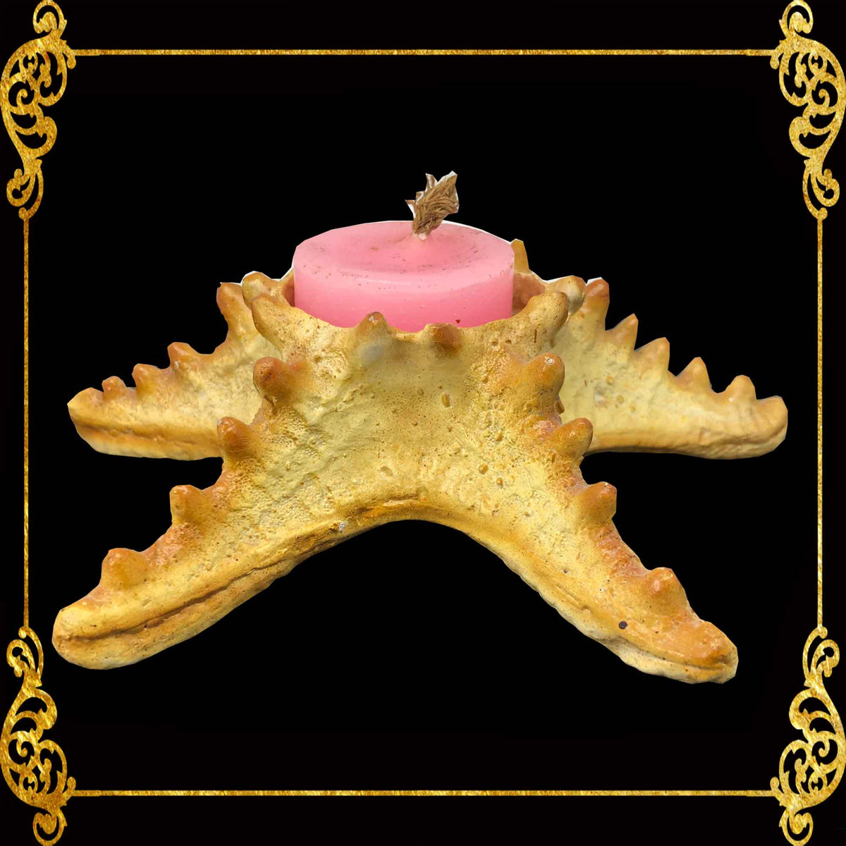 Starfish Tealight Holder | Made of Resin