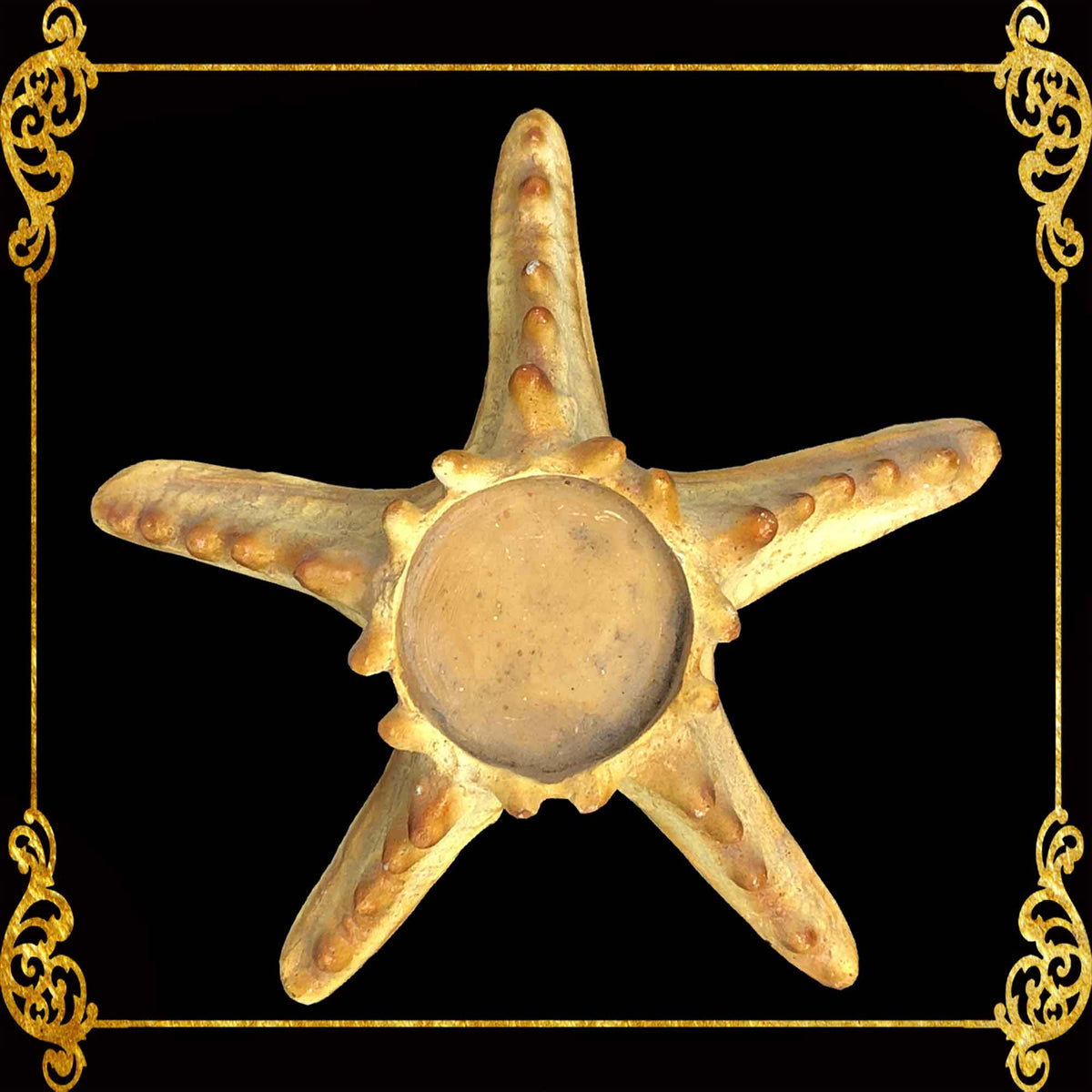 Starfish Tealight Holder | Made of Resin