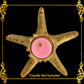 Starfish Tealight Holder | Made of Resin