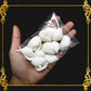 Tingi Pack | Value Pack | Sea Shells