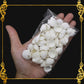 Tingi Pack | Value Pack | Sea Shells
