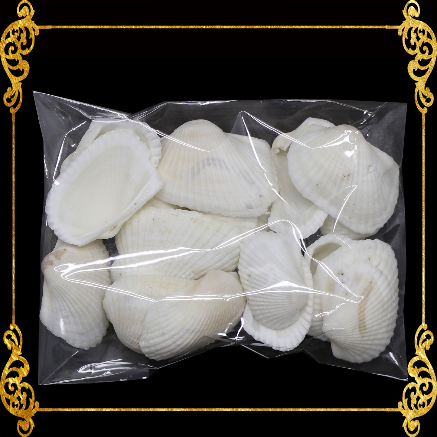 Tingi Pack | Value Pack | Sea Shells