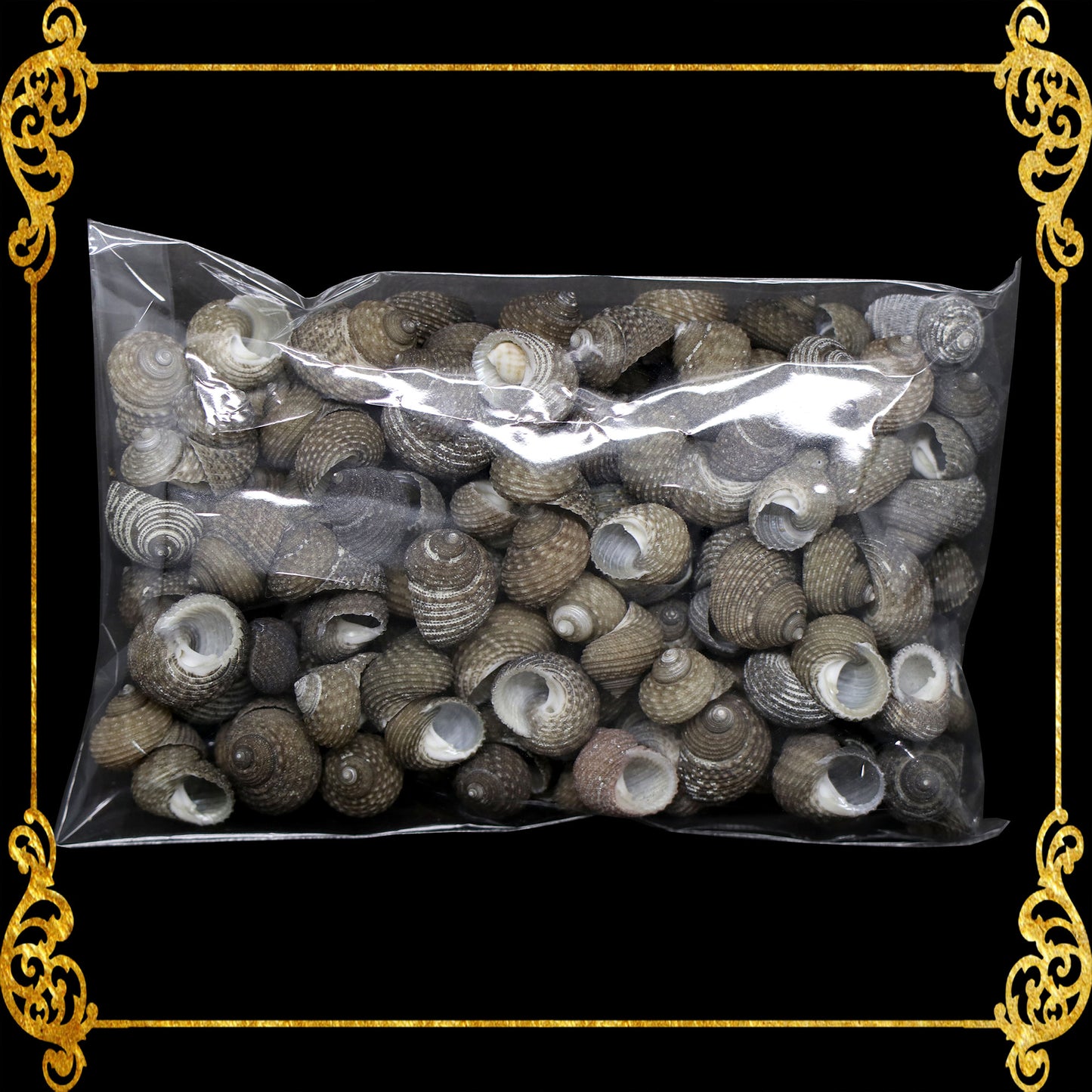 Tingi Pack | Value Pack | Sea Shells