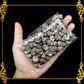 Tingi Pack | Value Pack | Sea Shells