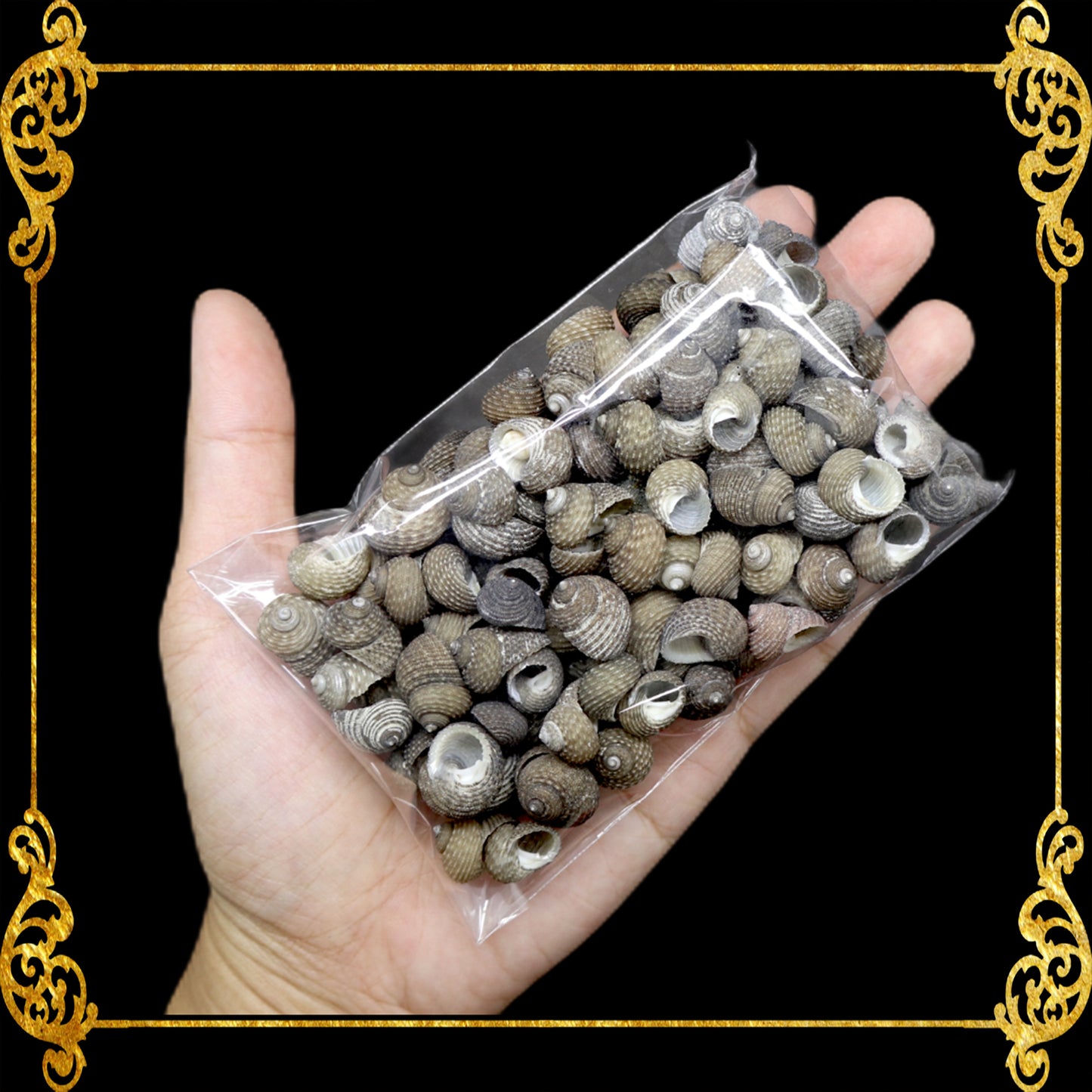 Tingi Pack | Value Pack | Sea Shells