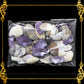 Tingi Pack | Value Pack | Sea Shells
