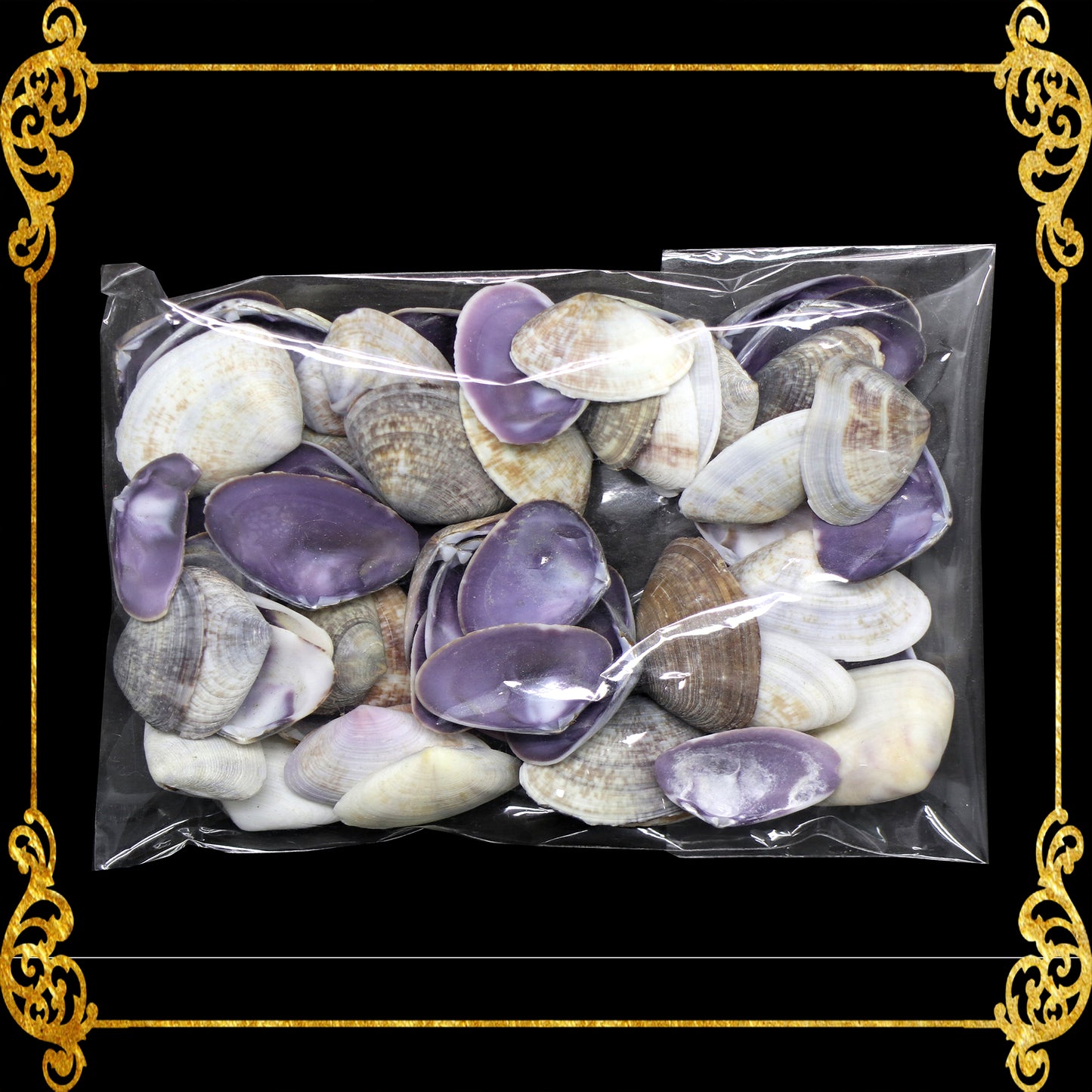 Tingi Pack | Value Pack | Sea Shells