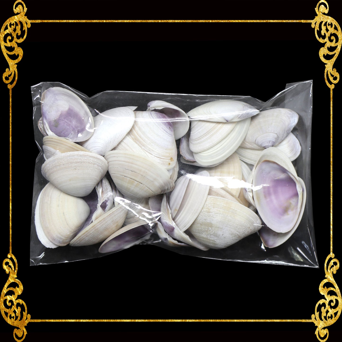 Tingi Pack | Value Pack | Sea Shells