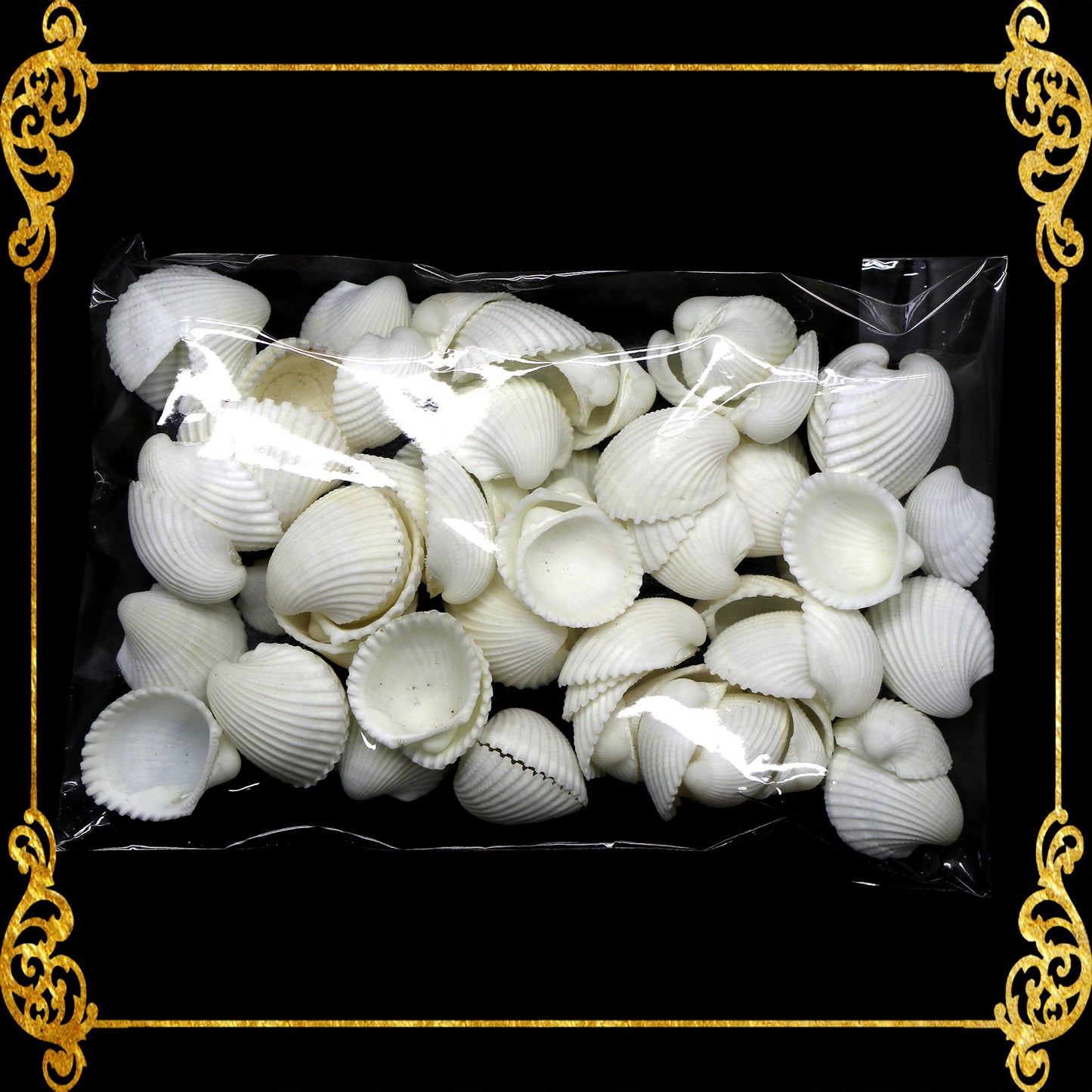 Tingi Pack | Value Pack | Sea Shells