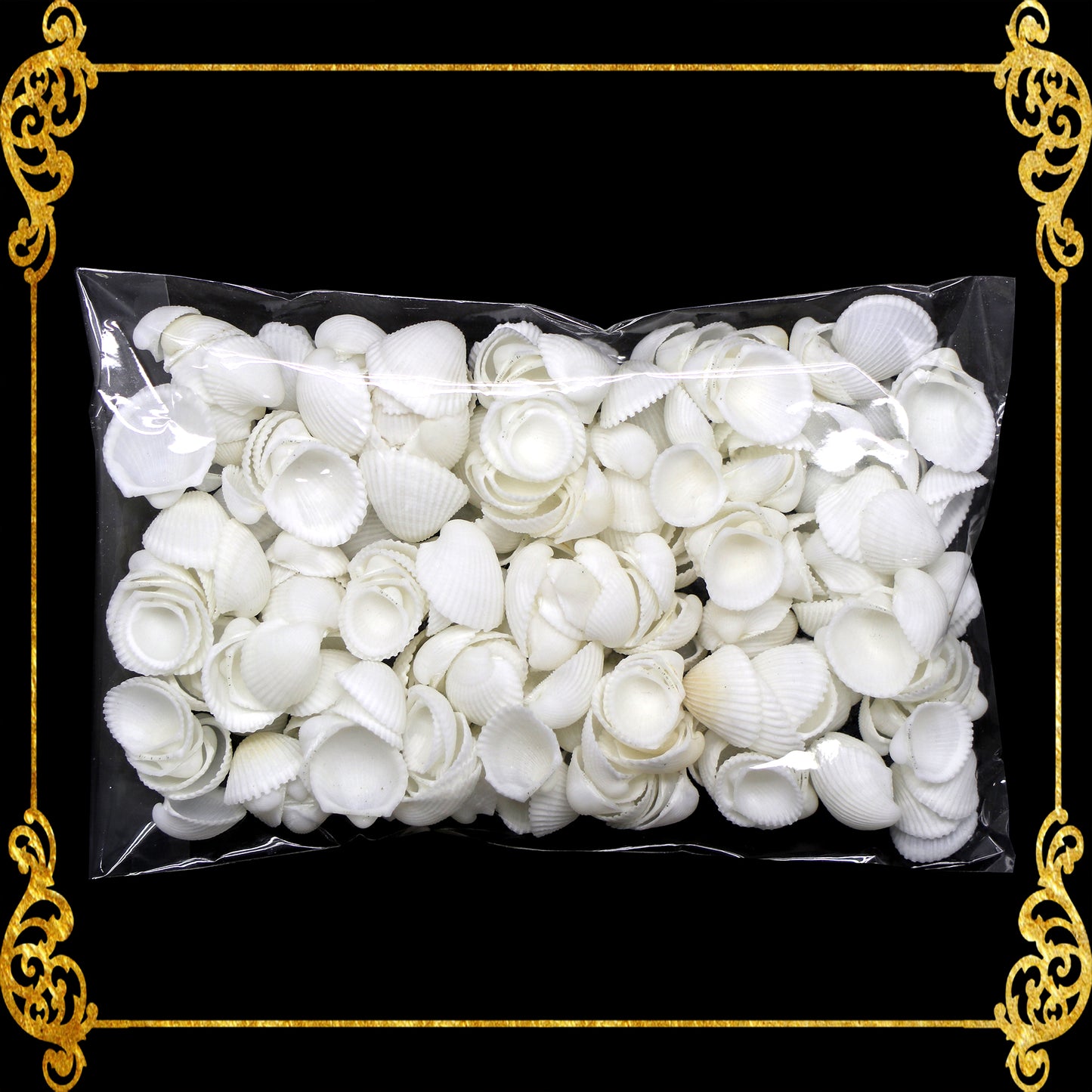 Tingi Pack | Value Pack | Sea Shells