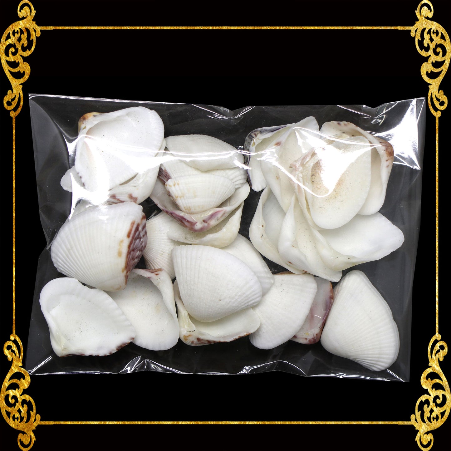 Tingi Pack | Value Pack | Sea Shells