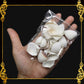 Tingi Pack | Value Pack | Sea Shells