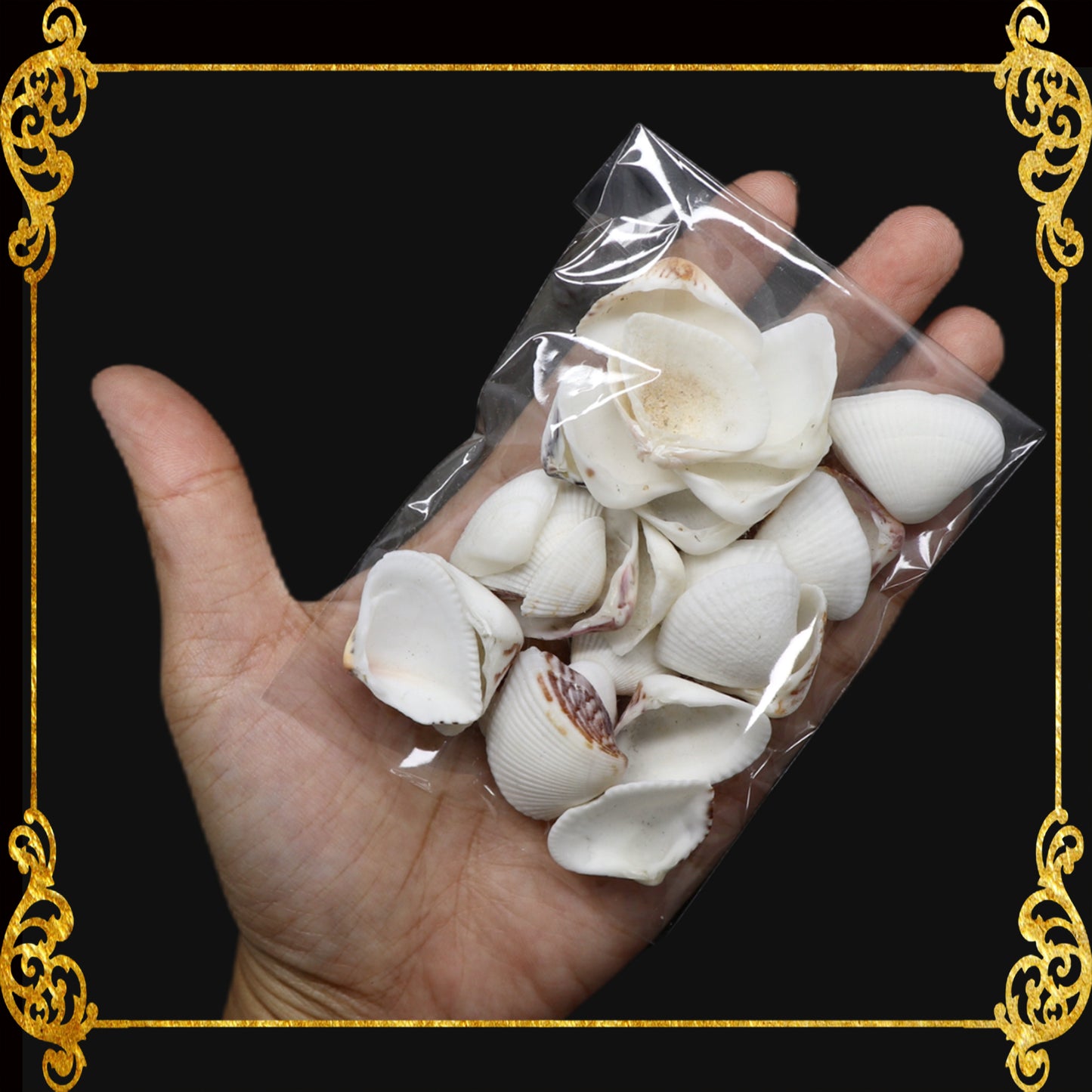 Tingi Pack | Value Pack | Sea Shells
