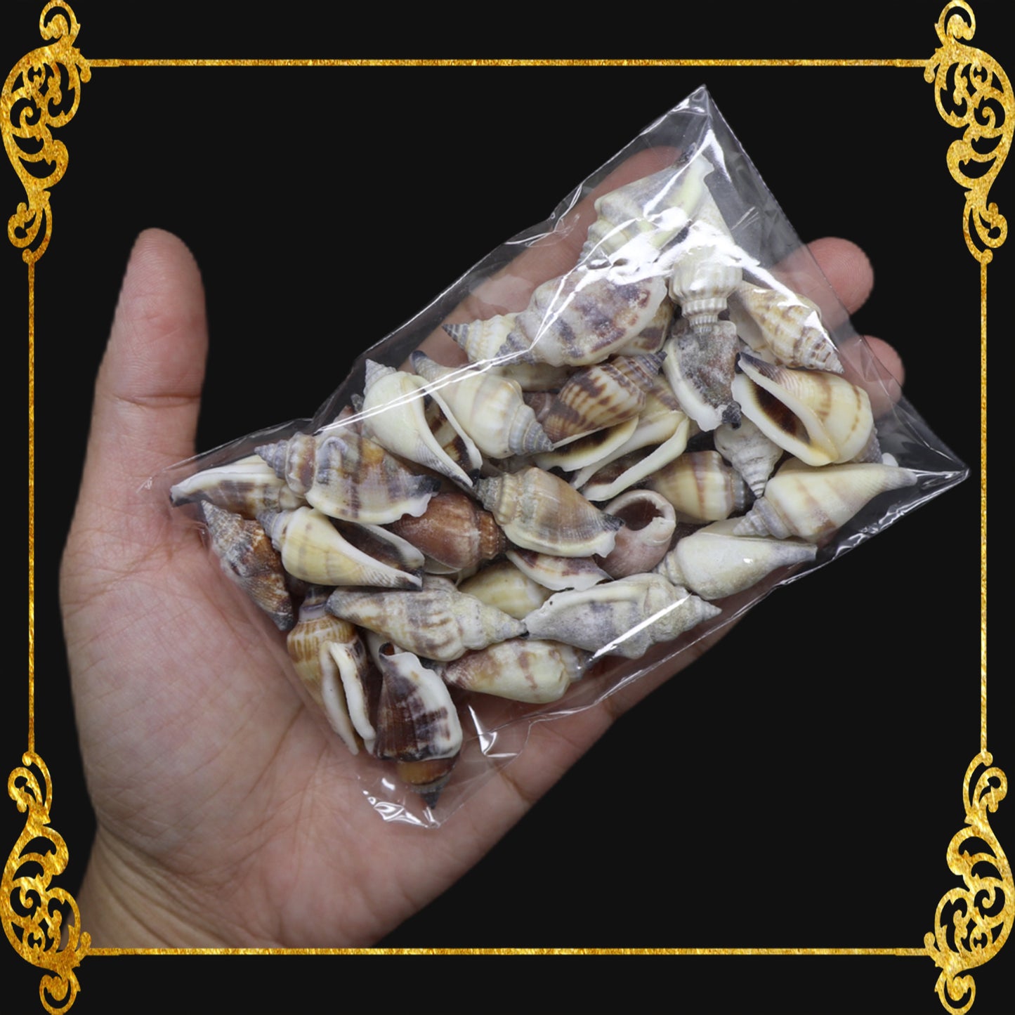 Tingi Pack | Value Pack | Sea Shells