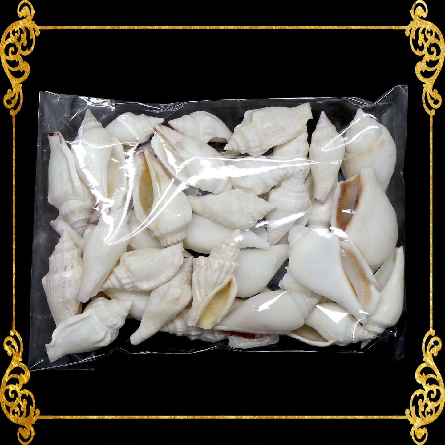 Tingi Pack | Value Pack | Sea Shells